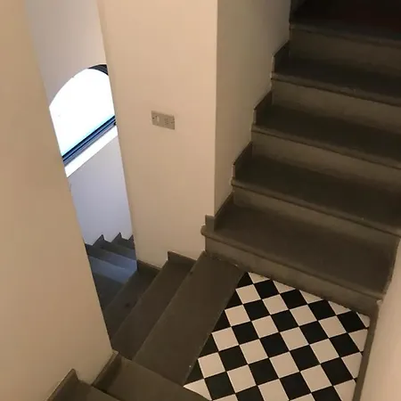 Gatto Bianco 9 * Bergamo